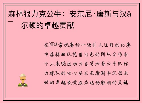 森林狼力克公牛：安东尼·唐斯与汉密尔顿的卓越贡献
